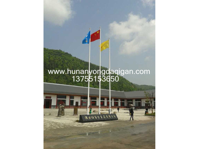 湖北伍家臺(tái)貢茶有限公司